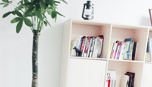 外资分公司变更