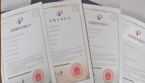 专利权利恢复请求